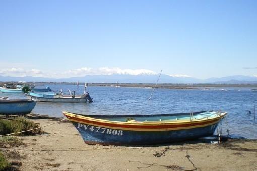 Villa 940 Sur L'Ile Des Pecheurs 르발카레스 객실 사진